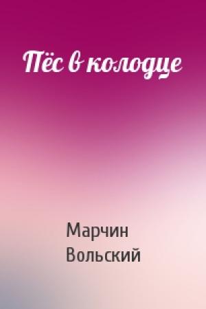 Обложка книги «Пёс в колодце» — Марчин Вольский
