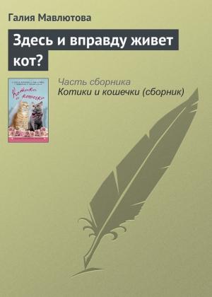 Обложка книги «Здесь и вправду живет кот?» — Галия Мавлютова