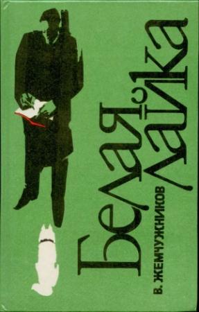 Обложка книги «Без имени» — Владимир Жемчужников