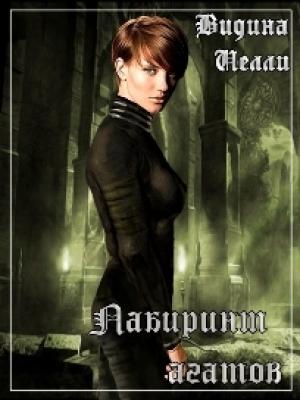 Обложка книги «Лабиринт агатов (СИ)» — Нелли Видина