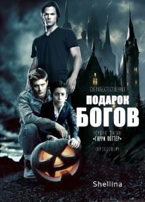 Обложка книги «Подарок богов» — shellina