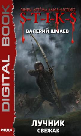 Обложка книги «Лучник» — Валерий Шмаев