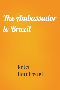 The Ambassador to Brazil