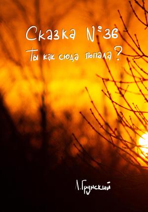 Обложка книги «Сказка №36. Ты как сюда попала?» — Леонид Грунский