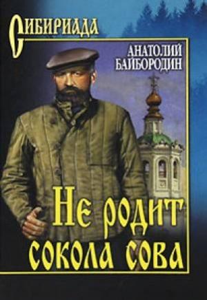 Обложка книги «Не родит сокола сова» — Анатолий Байбородин