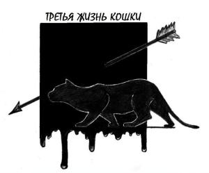 Обложка книги «Третья жизнь кошки» — Константин Бабулин