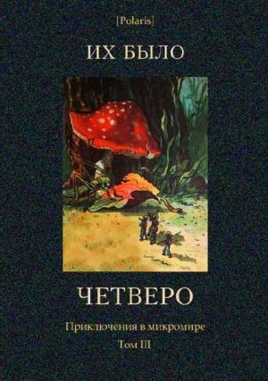 Обложка книги «Их было четверо. Приключения в микромире. Том III» — Пётр Феофилактович Гордашевский, Н. Булатов, Павел Иванович Лопатин