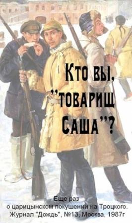 Обложка книги «Кто вы, «товарищ Саша»?» — Zampolit