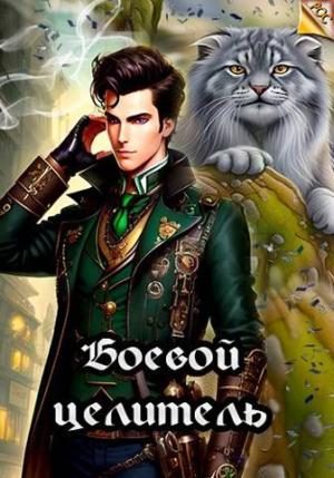 Обложка книги «Боевой целитель» — Илья Ангел