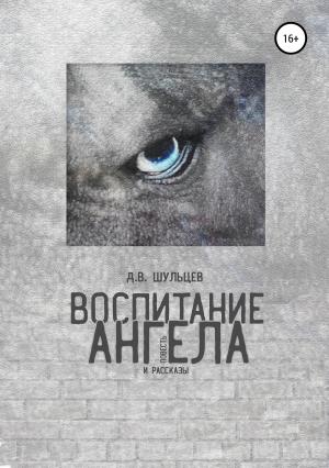 Обложка книги «Воспитание ангела. Сборник повести и рассказов» — Дмитрий Шульцев
