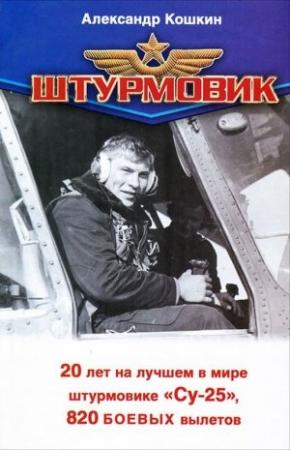 Обложка книги «Штурмовик» — Александр Кошкин