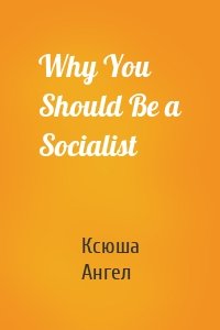 Why You Should Be a Socialist