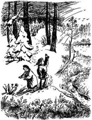 Обложка книги «Две сосны» — Сакариас Топелиус