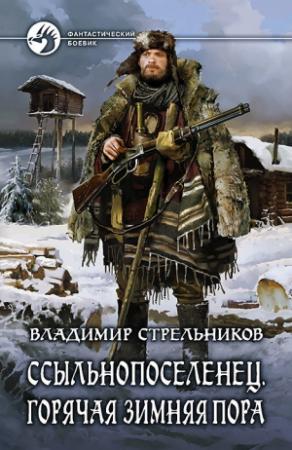 Обложка книги «Горячая зимняя пора» — Владимир Стрельников