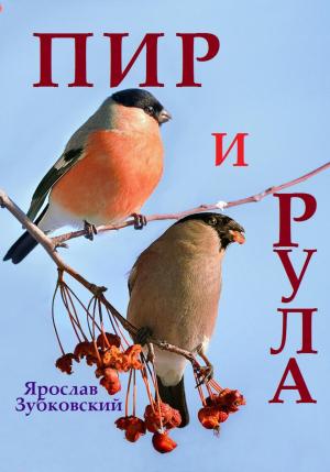 Обложка книги «Пир и Рула» — Ярослав Зубковский
