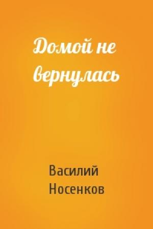 Обложка книги «Домой не вернулась» — Василий Носенков