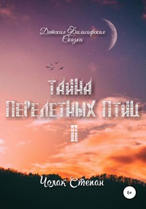 Обложка книги «Тайна перелётных птиц 2» — Степан Чолак