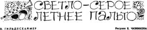 Обложка книги «Светло-серое летнее пальто» — Вольфганг Гильдесхаймер