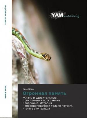Обложка книги «Огромная память» — Олег Северюхин