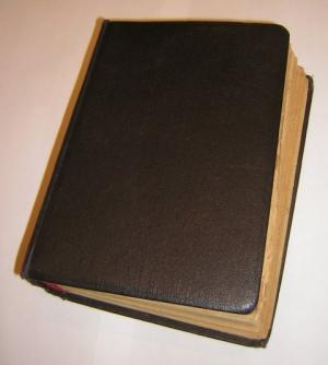 Обложка книги «Похождения бравого солдата Швейка во время Мировой войны Том II» — Ярослав Гашек