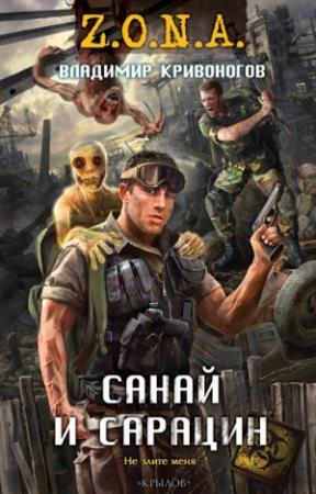 Обложка книги «Санай и Сарацин» — Владимир Кривоногов