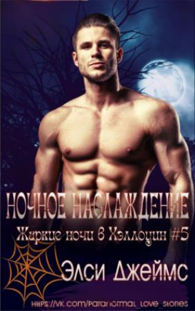Обложка книги «Ночные наслаждения» — Элси Джеймс