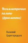 Василий Царегородцев - Несимметричное пальто (фрагменты)