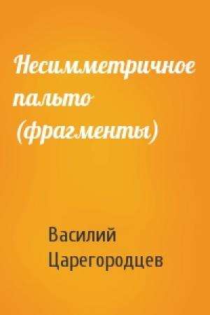 Обложка книги «Несимметричное пальто (фрагменты)» — Василий Царегородцев