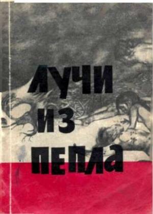 Обложка книги «Лучи из пепла» — Роберт Юнг