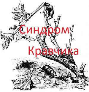 Обложка книги «Синдром кравчика» — Наиль Якупов