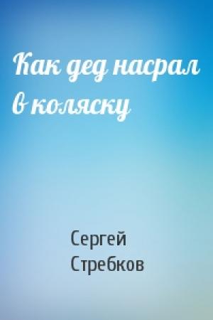 Обложка книги «Как дед насрал в коляску» — Сергей Стребков