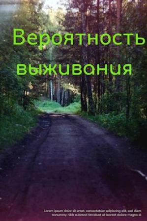 Обложка книги «Вероятность выживания» — Вячеслав Ануфриев