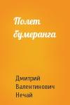 Дмитрий Нечай - Полет бумеранга
