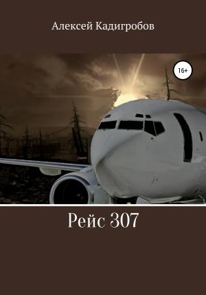 Обложка книги «Рейс 307» — Алексей Кадигробов