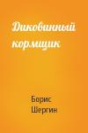 Борис Шергин - Диковинный кормщик