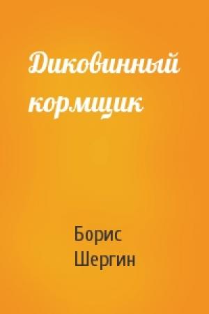 Обложка книги «Диковинный кормщик» — Борис Шергин