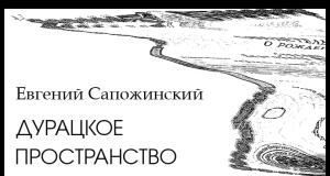 Обложка книги «Дурацкое пространство» — Евгений