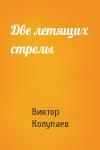 Виктор Колупаев - Две летящих стрелы