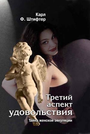 Обложка книги «Третий аспект удовольствия» — Карл Штифтер