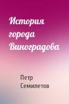 Петр Семилетов - История города Виноградова