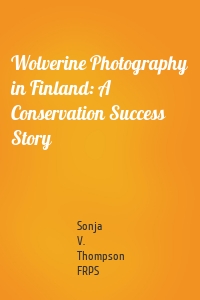 Wolverine Photography in Finland: A Conservation Success Story