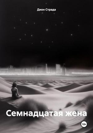 Обложка книги «Семнадцатая жена» — Дион Страда