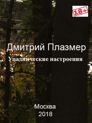 Обложка книги «Упаднические настроения» — Дмитрий Плазмер