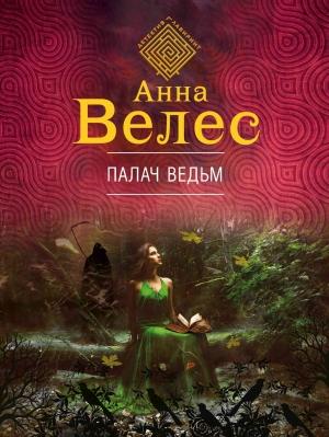 Обложка книги «Палач ведьм» — Анна Велес