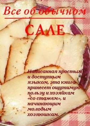 Обложка книги «Все об обычном сале» — Иван Дубровин