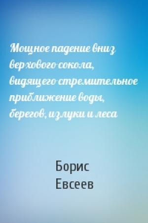 Обложка книги «Мощное падение вниз верхового сокола, видящего стремительное приближение воды, берегов, излуки и леса» — Борис Евсеев