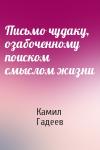 Камил Гадеев - Письмо чудаку, озабоченному поиском смыслом жизни
