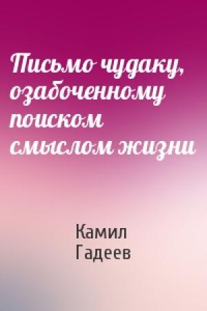 Обложка книги «Письмо чудаку, озабоченному поиском смыслом жизни» — Камил Гадеев