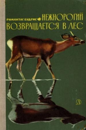 Обложка книги «Нежнорогий возвращается в лес» — Римантас Будрис