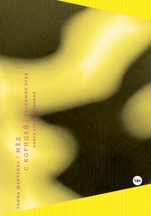 Обложка книги «Мёд с корицей» — Владимир Буев, Анна Шевченко